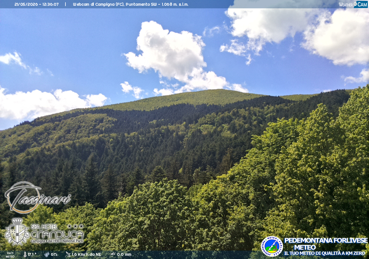 Webcam Campigna