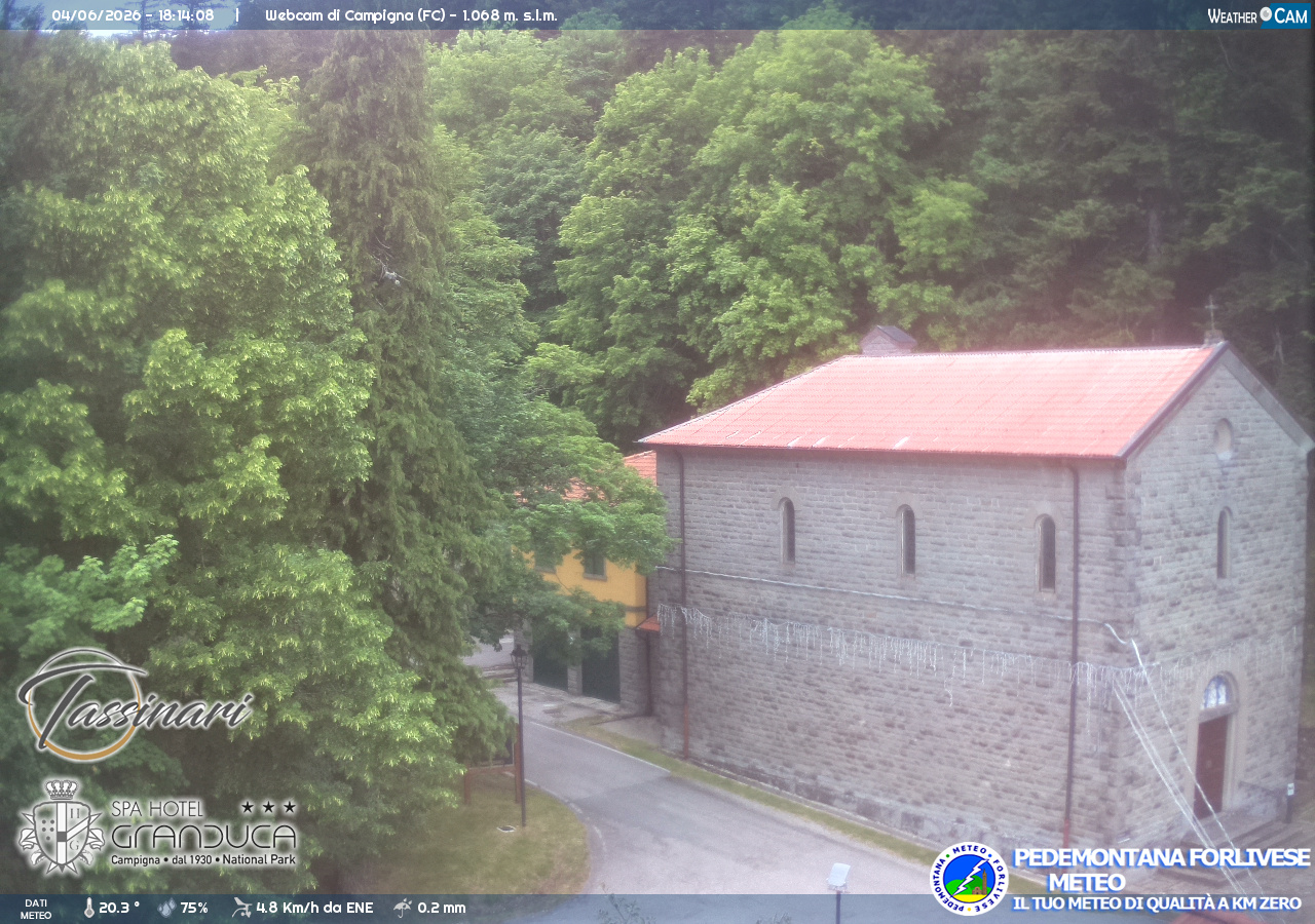 Webcam Campigna strada
